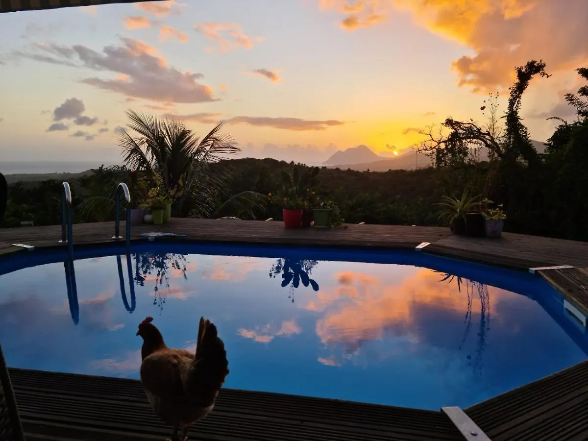 Chambre Chez L'Habitant Avec Piscine Privative Et Vue Panoramique Sur La Mer Des Caraibes Desmarinieres