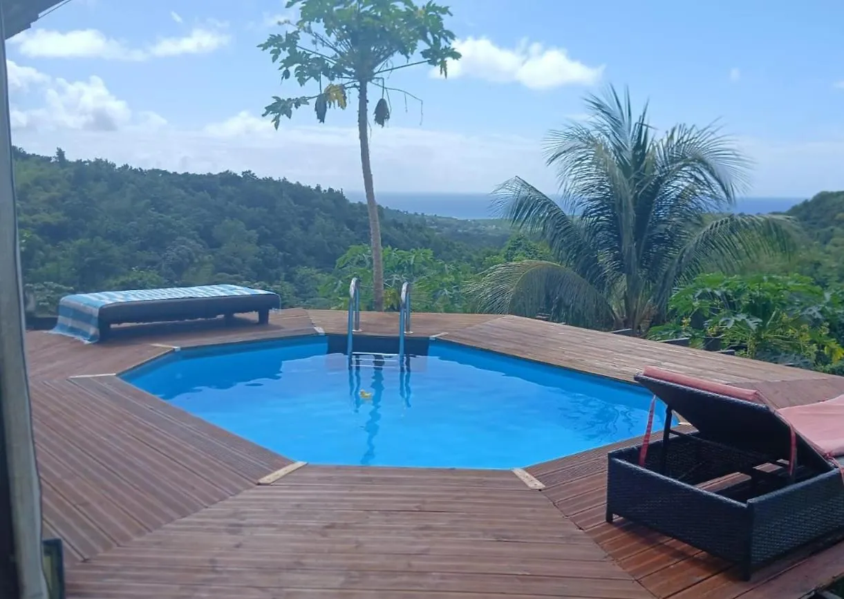 Chambre Chez L'Habitant Avec Piscine Privative Et Vue Panoramique Sur La Mer Des Caraibes Desmarinieres